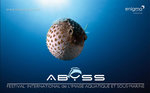 Abyss, festival de l'image sous-marine et aquatique d'Ajaccio