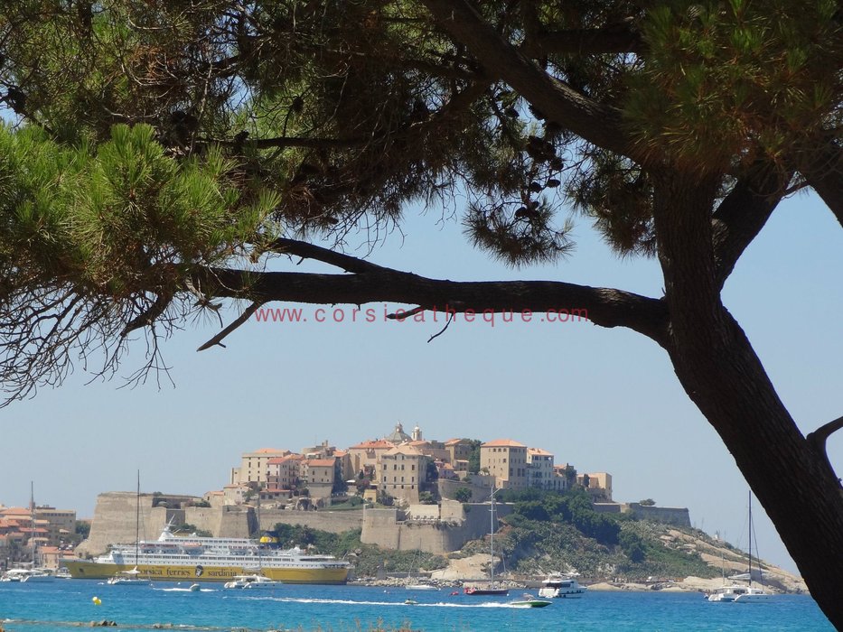 Rencontres de chants polyphoniques de calvi 2016