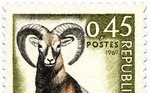 Timbre La Poste Mouflon méditerranéen (0,45 francs) 1969