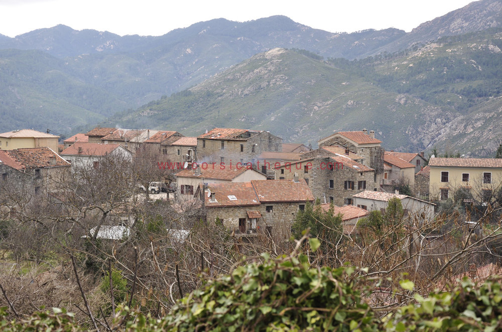 Tavera (Tavera) / Les 360 communes corses / Territoires / Accueil