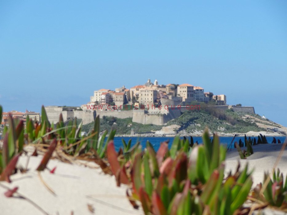 rencontre contemporaine calvi