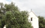Calenzana : Eglise Santa Restituta