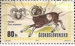Timbre Mouflon corse (Tchécoslovaquie - 80 h) 1971