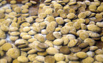 Biscuiterie artisanale Salvatori (L'Ile-Rousse)