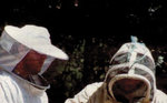 Apiculture: Jean-Claude Gras, apiculteur à Santa-Reparata-di-Balagna