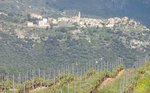 Vigneron : domaine Orsini à Calenzana