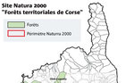 Site Natura 2000, Forêts territoriales de Corse