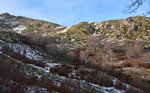 Bergeries d'Alzeta