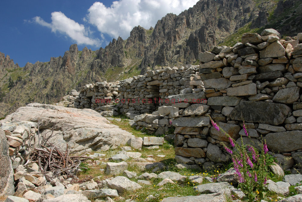 Bergeries d'E Spiscie / La Corse de l'intérieur / Territoires / Accueil