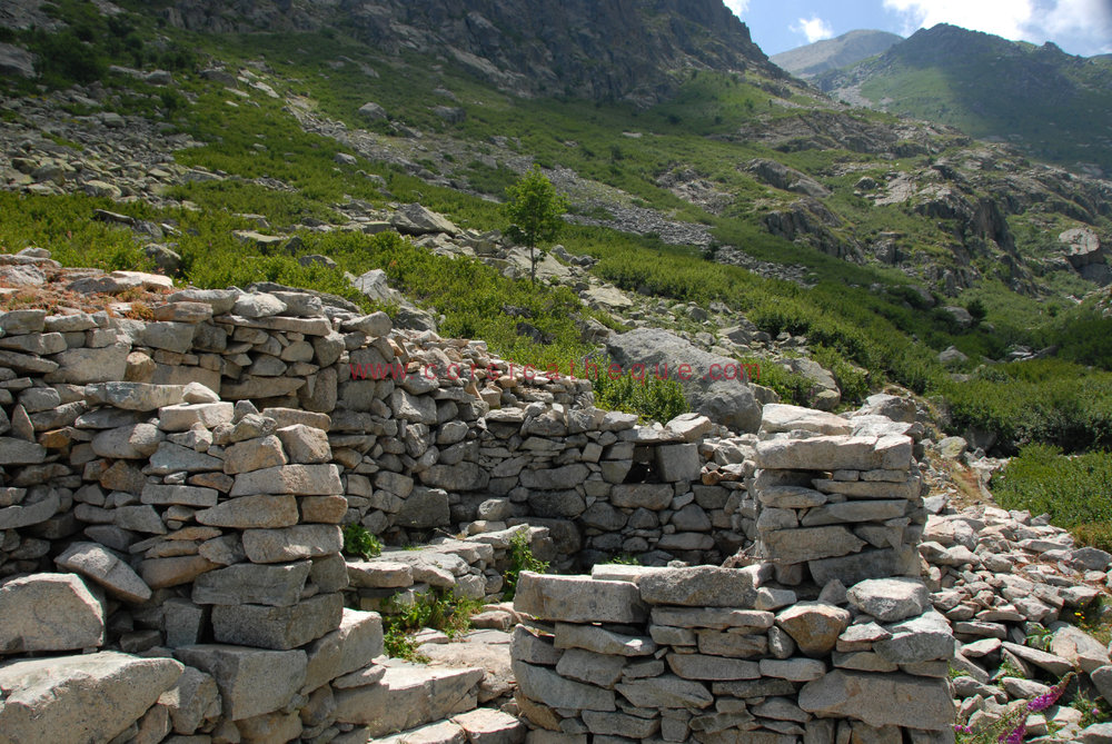 Bergeries d'E Spiscie / La Corse de l'intérieur / Territoires / Accueil