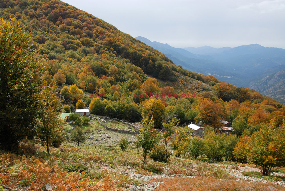 Bergeries de Pozzi / La Corse de l'intérieur / Territoires / Accueil