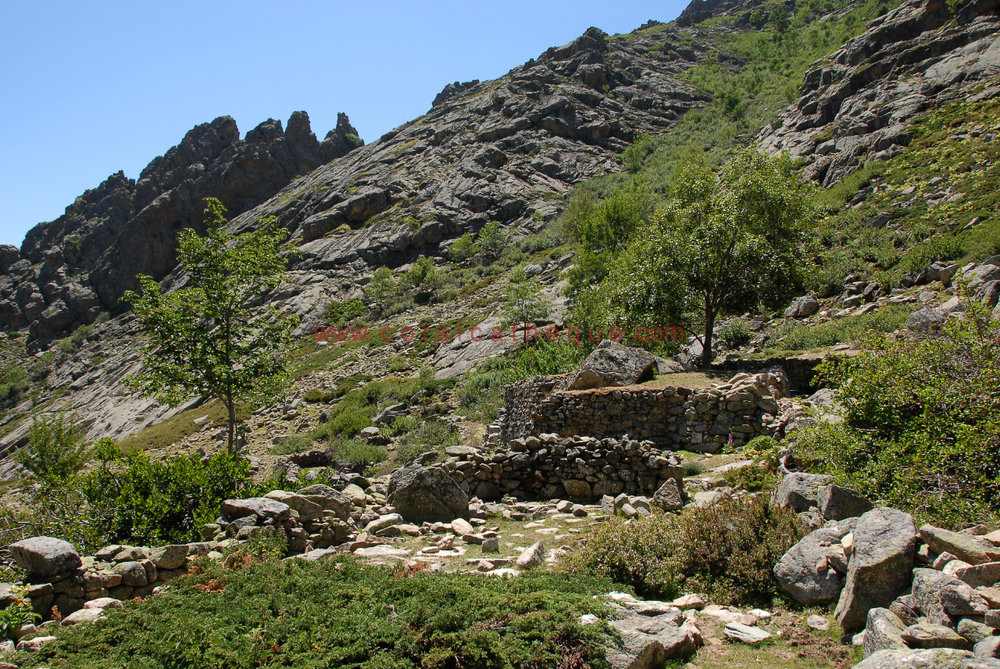 Bergeries ruinées d'Urcula / La Corse de l'intérieur / Territoires