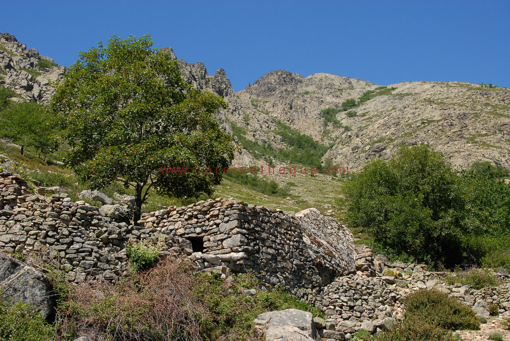 Bergeries ruinées d'Urcula / La Corse de l'intérieur / Territoires