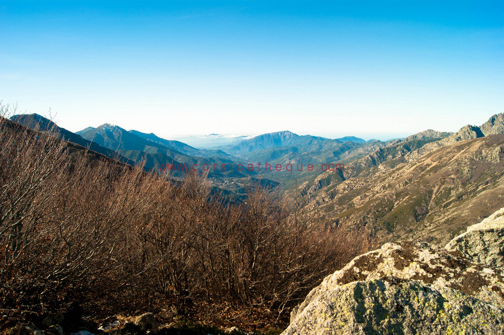 Haute vallée de la Gravona / La Corse de l'intérieur / Territoires