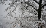 Murato dans la tempête de neige