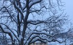 Neige à Albertacce (16 janvier 2017)