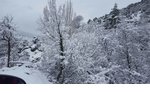 Neige à Poggio-di-Nazza (16 janvier 2017)