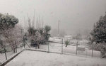 Neige à San-Martino-di-Lota (18 janvier 2017)