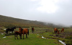 Plateau du Cuscione