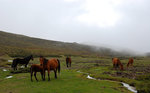 Plateau du Cuscione