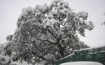 Tavaco (Valle di la Piatta) sous la neige (24 février 2013)