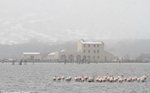 Neige sur Bastia (2012)