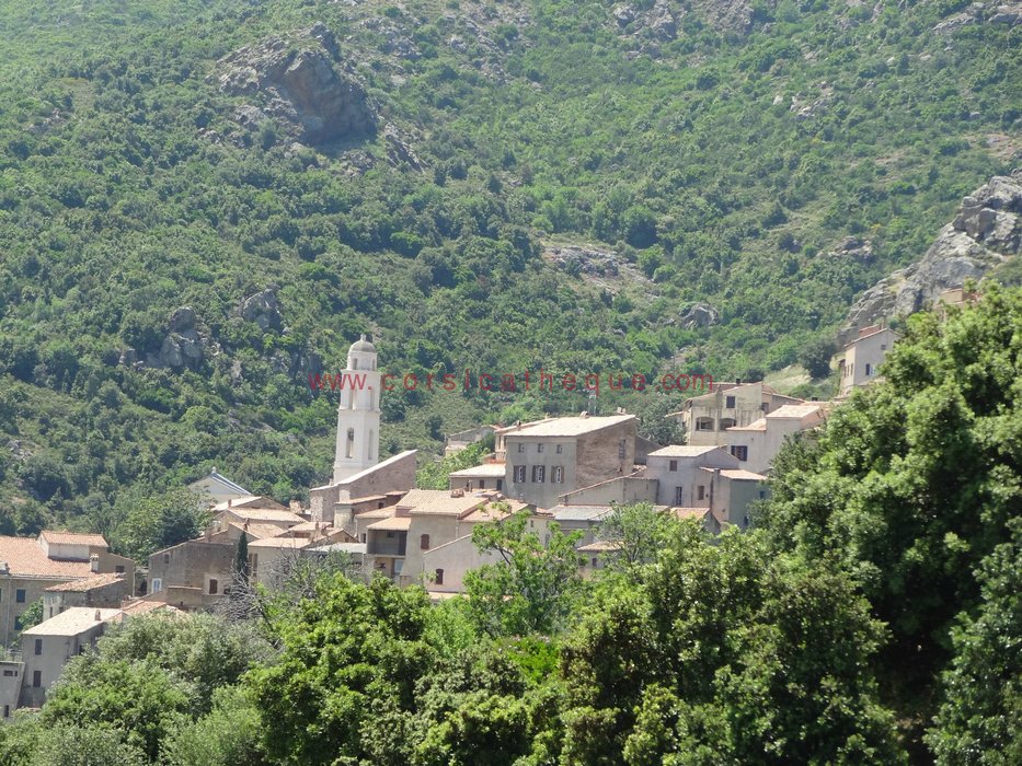 Palasca (Palasca) / Les 360 communes corses / Territoires / Accueil