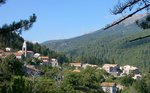 Palneca – (Palleca)