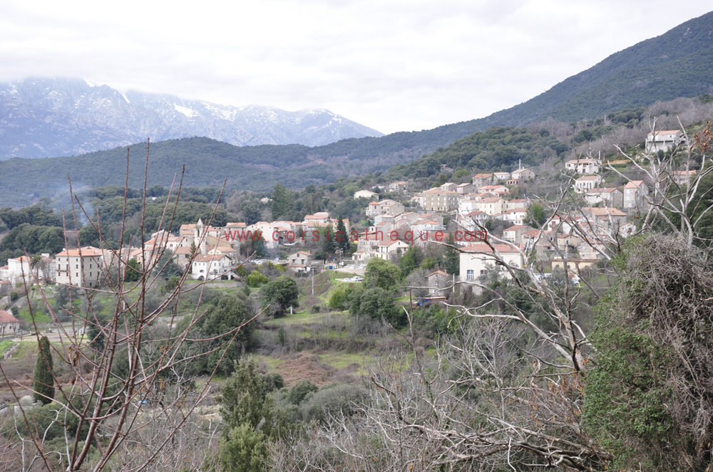 Ucciani (Auccià) / Les 360 communes corses / Territoires / Accueil