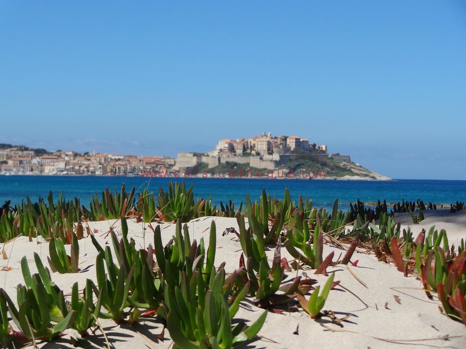 Plage de Calvi / Les plages / Territoires / Accueil 1er Média Culturel Corse