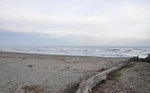 Plage d'Aléria, l'hiver